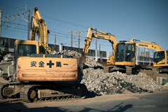 小春日和の路傍01