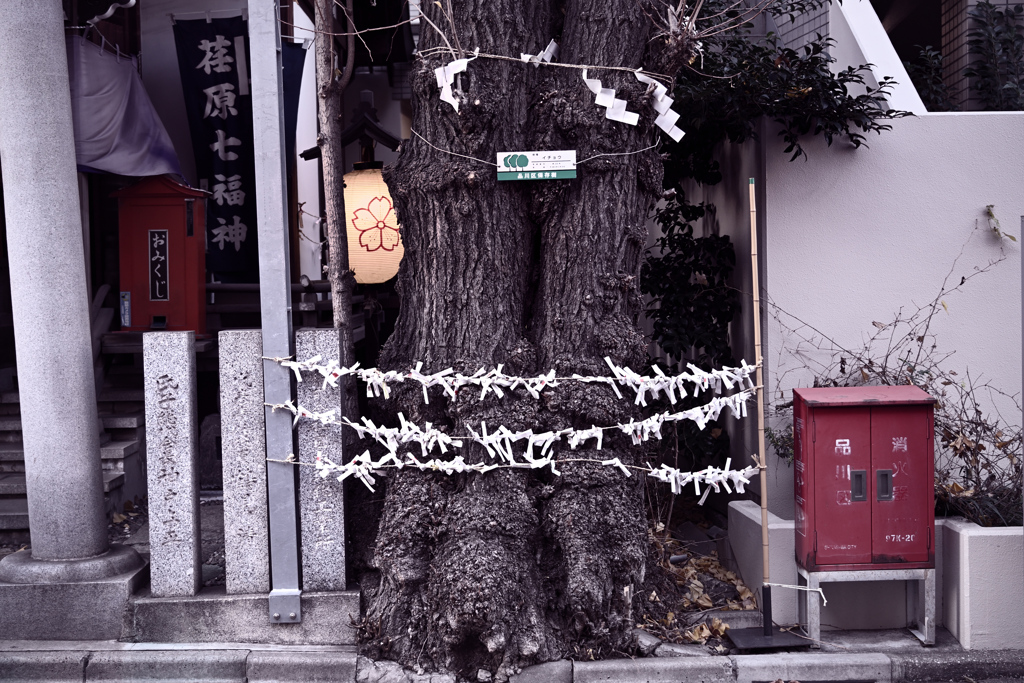 東京散策～品川区大井21