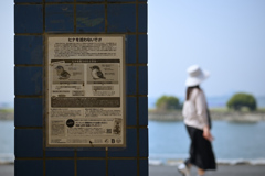 東京散策～葛西臨海公園05