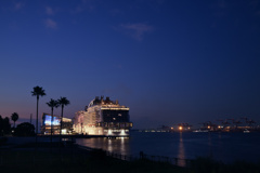 旅する船04(MSC Bellissima)