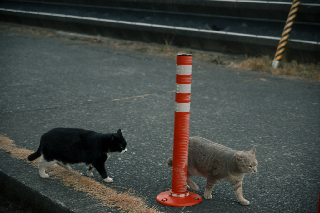 東京散策～江東区砂町66