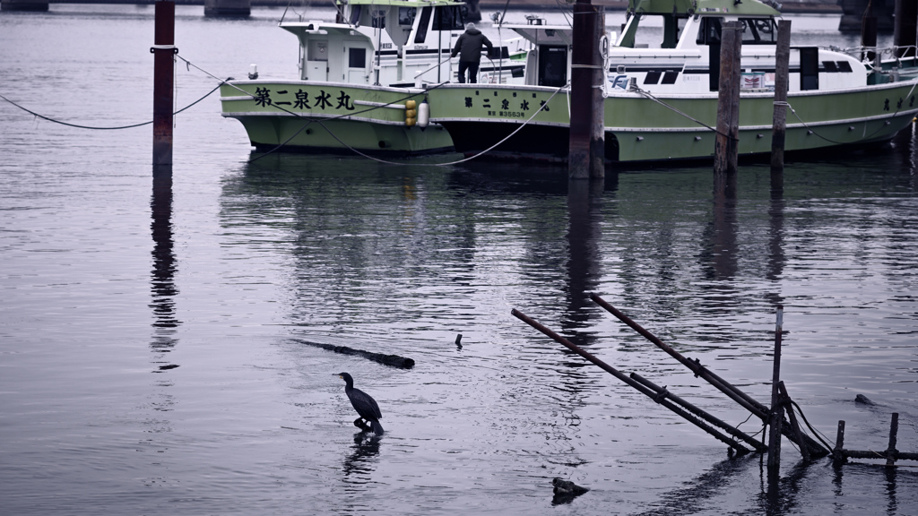 荒川・中川下流域散策13