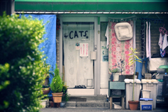 東京散策～中央区日本橋箱崎町02