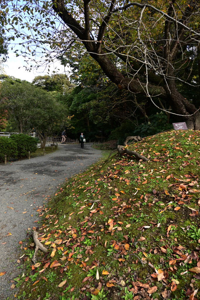 浜離宮02