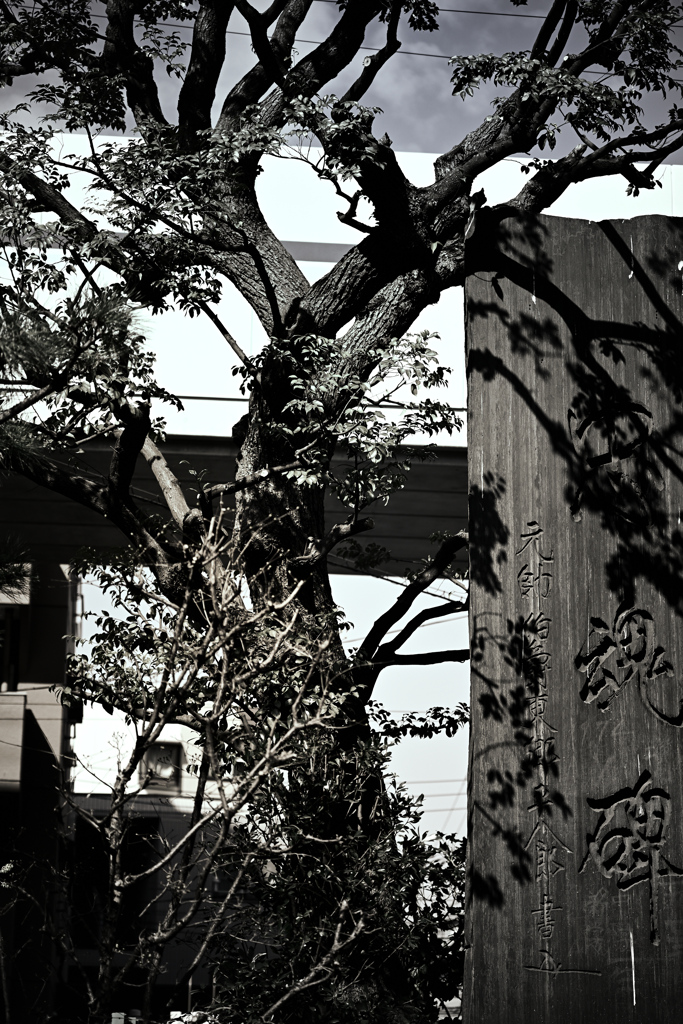 東京散策～大田区蒲田07