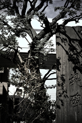 東京散策～大田区蒲田07