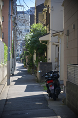 東京散策～江東区砂町48