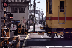 東京散策～江東区亀戸04