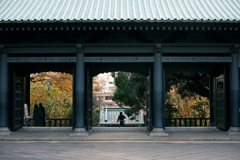 東京散策～文京区湯島35