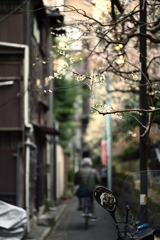 東京散策～文京区湯島21