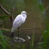 東京散策～葛西臨海公園18