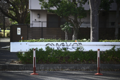 東京散策～江東区木場12