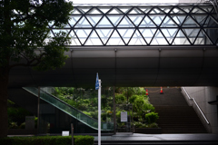 東京散策～中央区日本橋箱崎町04