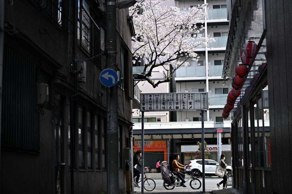 東京散策～江東区富岡15