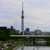 旧中川あじさい祭り2024(の一週間後・・・)04