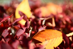 東京散策～江戸川区臨海町06