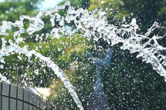 splash!!!
