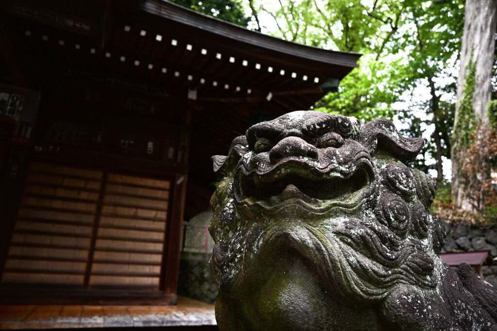 五所神社の狛犬