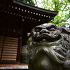 五所神社の狛犬
