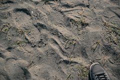 東京散策～葛西渚01