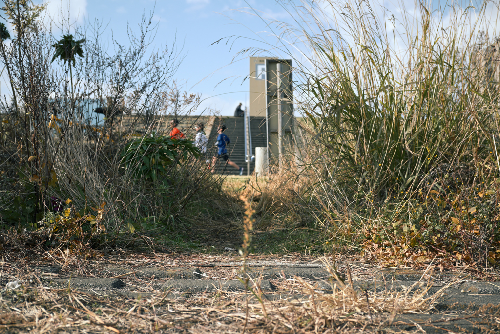 荒川・中川下流域散策31