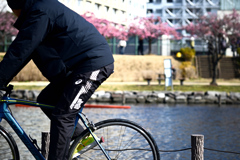 東京散策～旧中川の河津桜05
