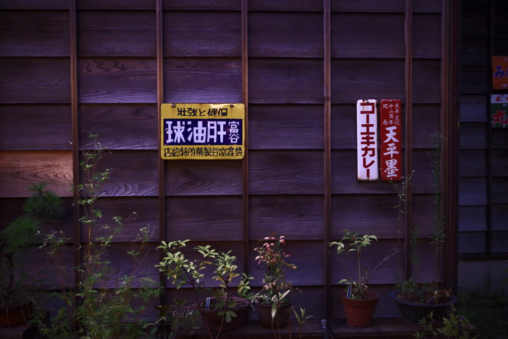 東京散策　江戸東京たてもの園07