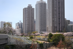 東京散策～江東区越中島01