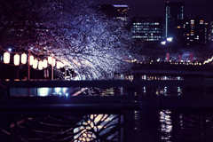夜の東京散策～お江戸深川さくらまつり2025_06