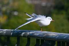 東京散策～江戸川区臨海町08