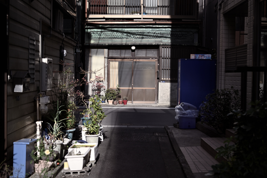 東京散策～中央区日本橋21