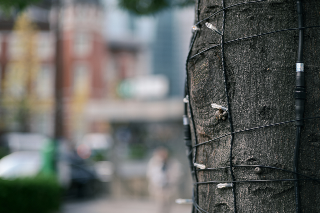 東京散策～丸の内45