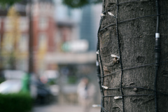 東京散策～丸の内45