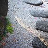 枯山水、ピンクの花びら辿りつつ・・・
