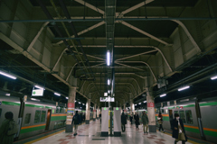 上野駅、低いホームに到着します03