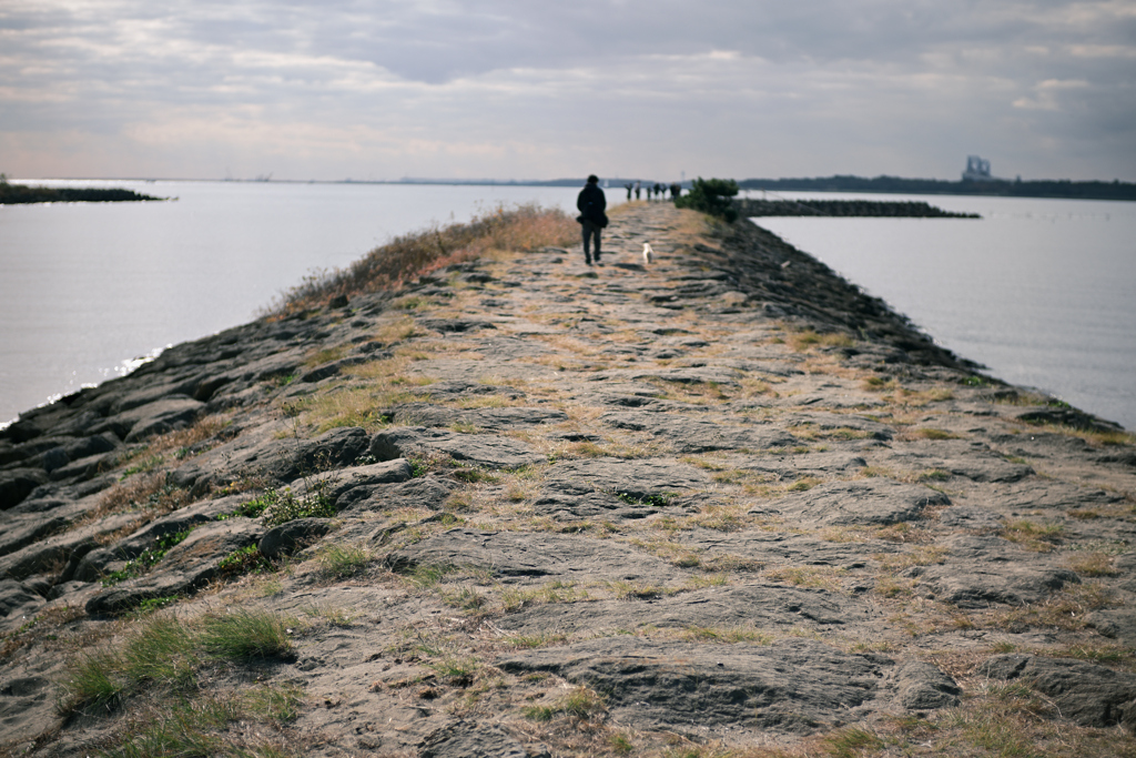 東京散策～葛西臨海公園25