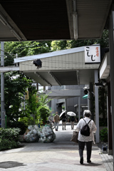 東京散策～江東区富岡17