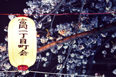 夜の東京散策～お江戸深川さくらまつり2025_04