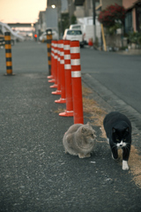 東京散策～江東区砂町67