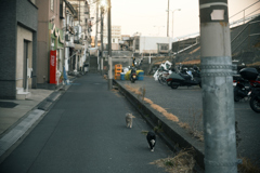 東京散策～江東区砂町65