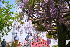 東京散策～江東区亀戸天神02