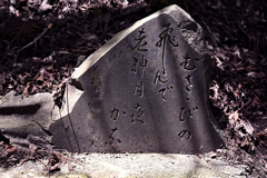 探訪記～群馬県沼田市～吹割渓21
