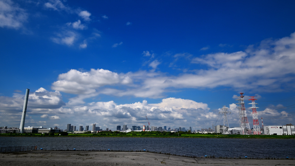 湾岸都市全景