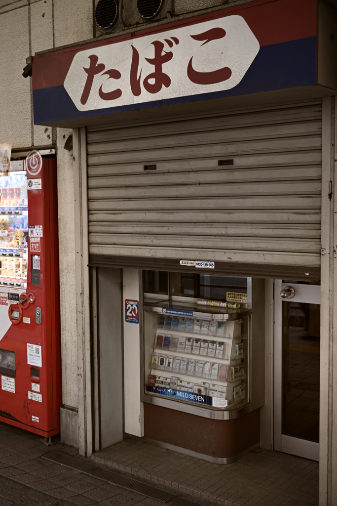 東京散策～品川区大井24