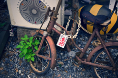 東京散策～熊野町交差点12