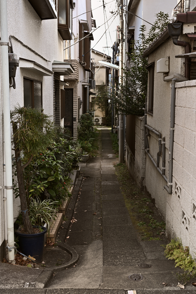 裏路地散策01