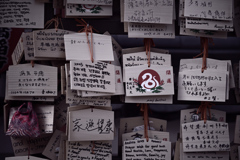 東京散策～上野 摩利支天徳大寺04