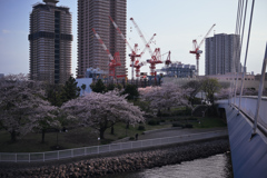 東京散策～江東区辰巳07