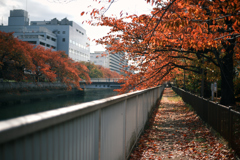 東京散策～江東区白河01