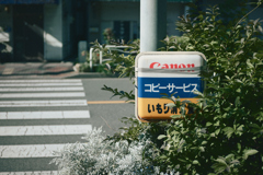 東京散策～江東区砂町59